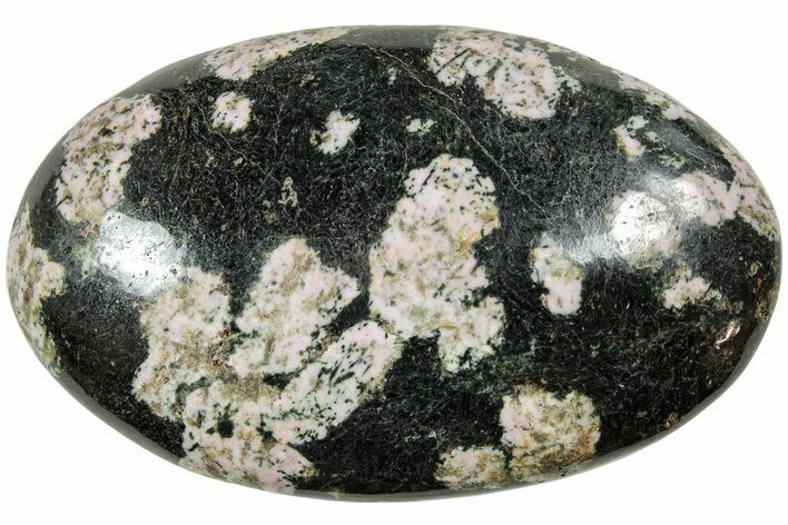 Polished Snowflake Stone - Pakistan #237776